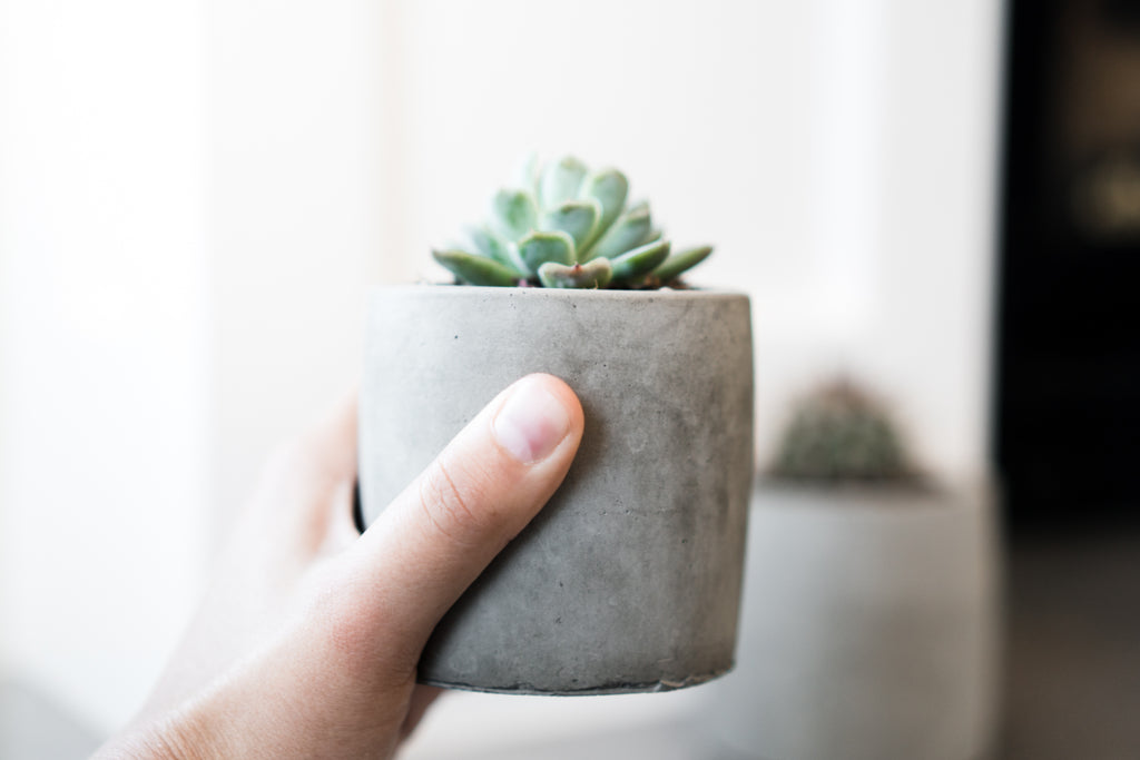 6 Inch Black Concrete Plant Pot, Succulent Planter with Embossed